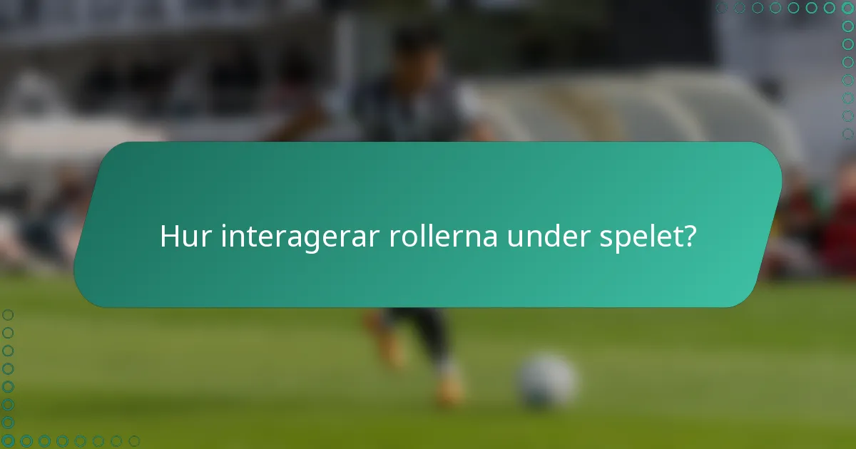 Hur interagerar rollerna under spelet?