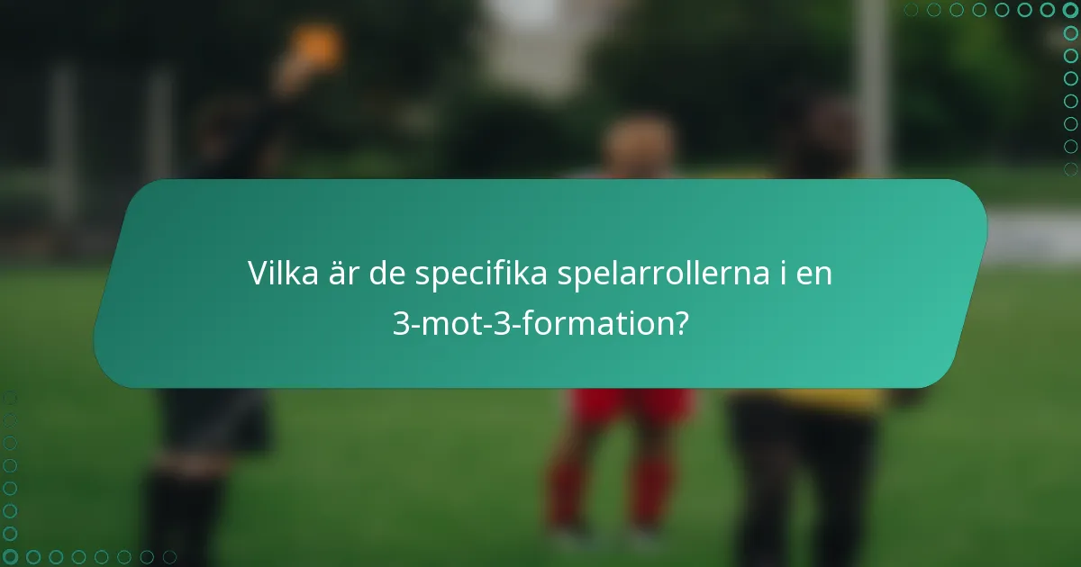 Vilka är de specifika spelarrollerna i en 3-mot-3-formation?