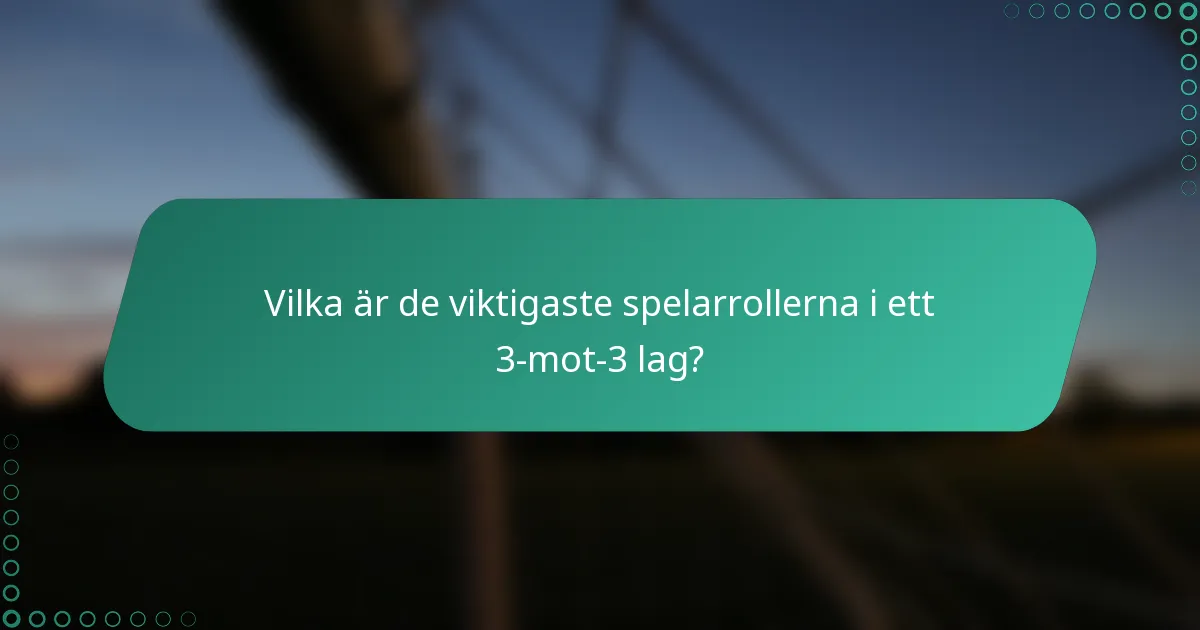 Vilka är de viktigaste spelarrollerna i ett 3-mot-3 lag?